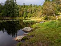Impression am Skomakerdiket See am Fløyen
